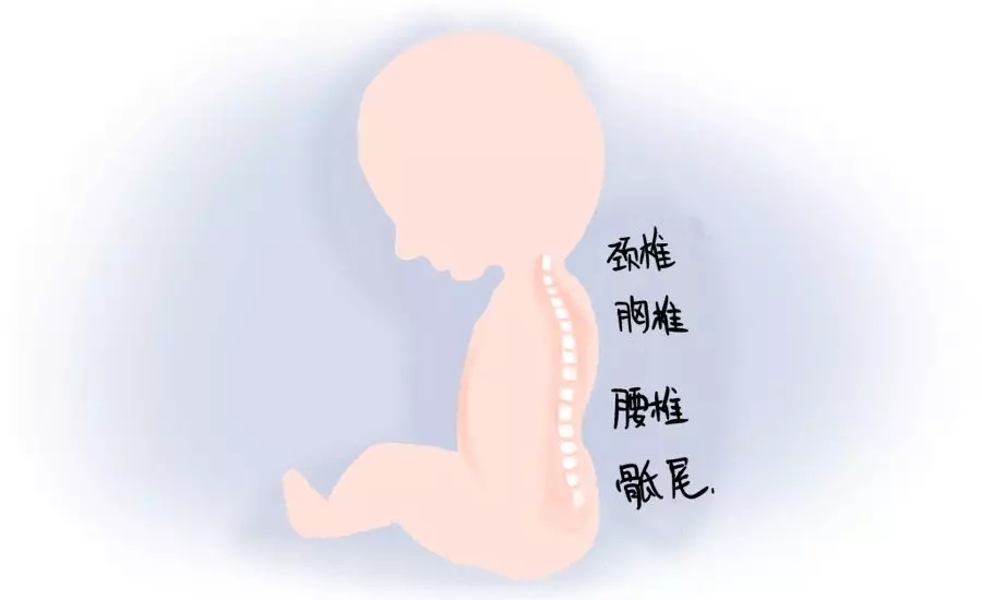 你家还在把屎把尿？？？？？？这篇文章肯定要看！1.webp.jpg