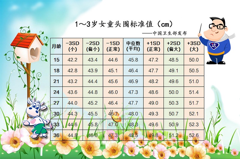 1-3岁女童头围尺度值.jpg