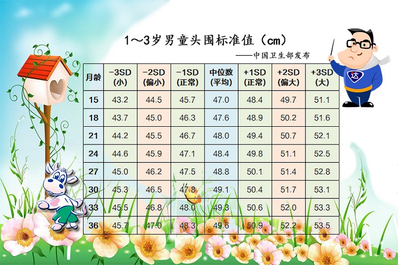 1-3岁男童头围尺度值.jpg